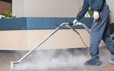 Why it’s essential to hire a professional carpet cleaner in Ellenbrook?