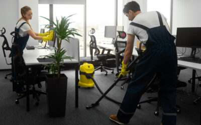 AMS Carpet Cleaning: Perth’s Premier Carpet Cleaning Solution Provider