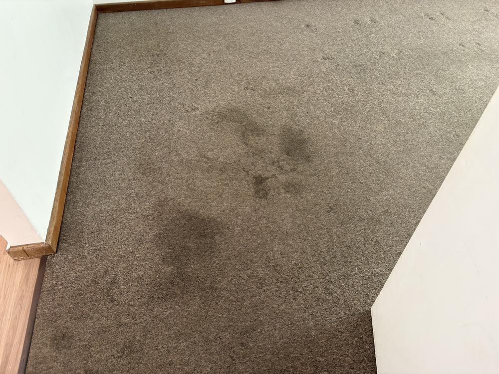 Before photo of the 4 carpet clean in Marangaroo. 