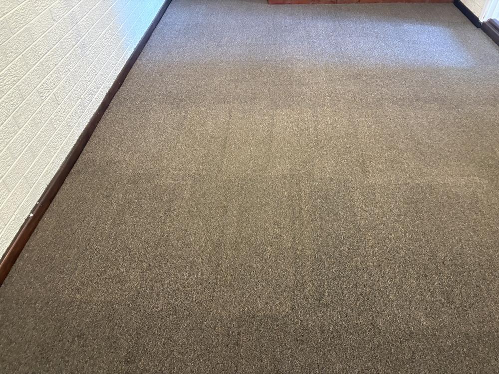 Kids Had Trashed the Carpets