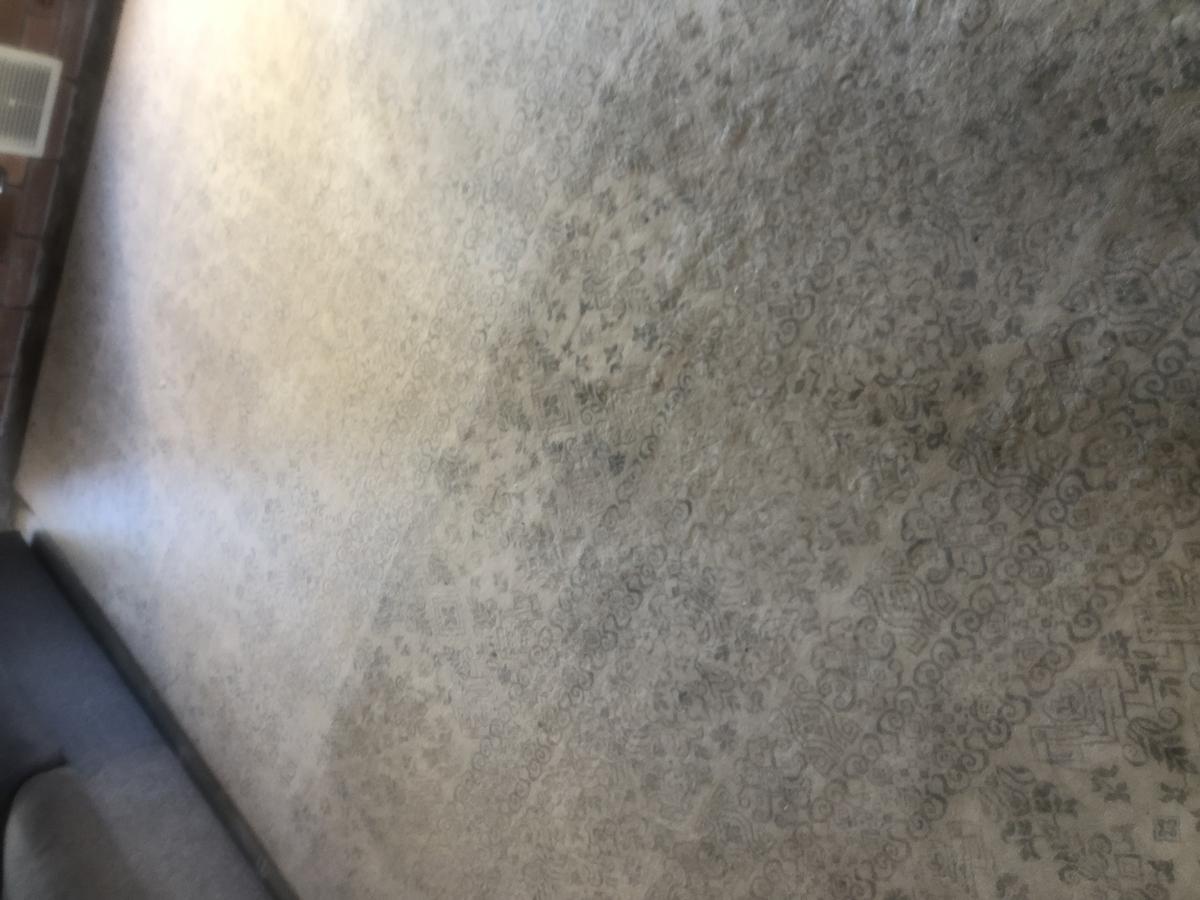 During rug cleaning in Ocean Reef