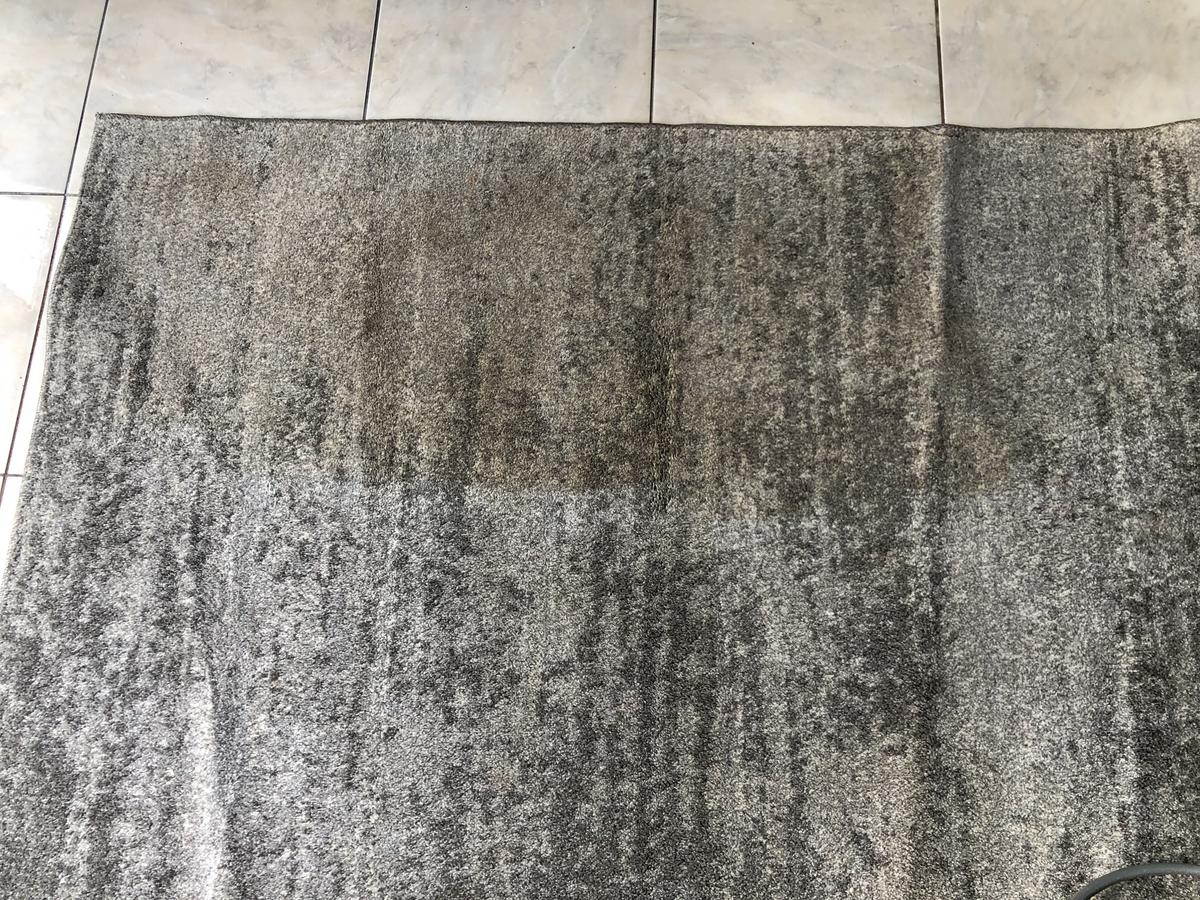 During rug cleaning work in Ocean Reef