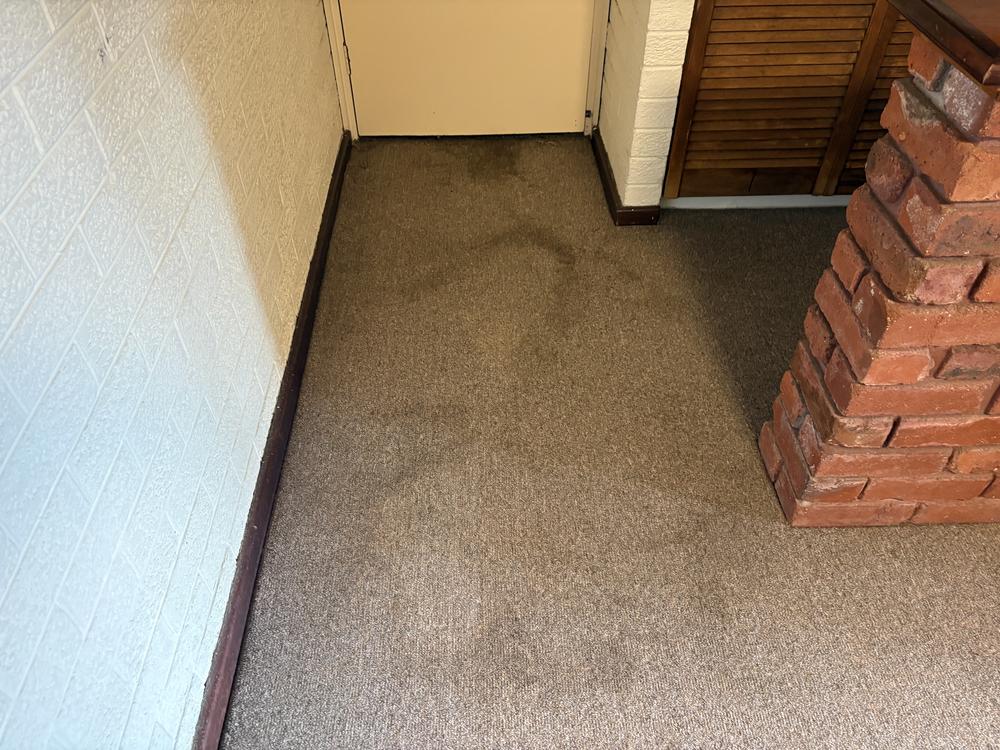 Before photo of the 4 carpet clean in Marangaroo. 