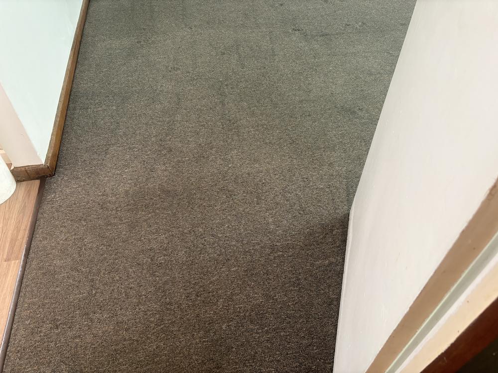 During photo from the carpet clean in Marangaroo. 