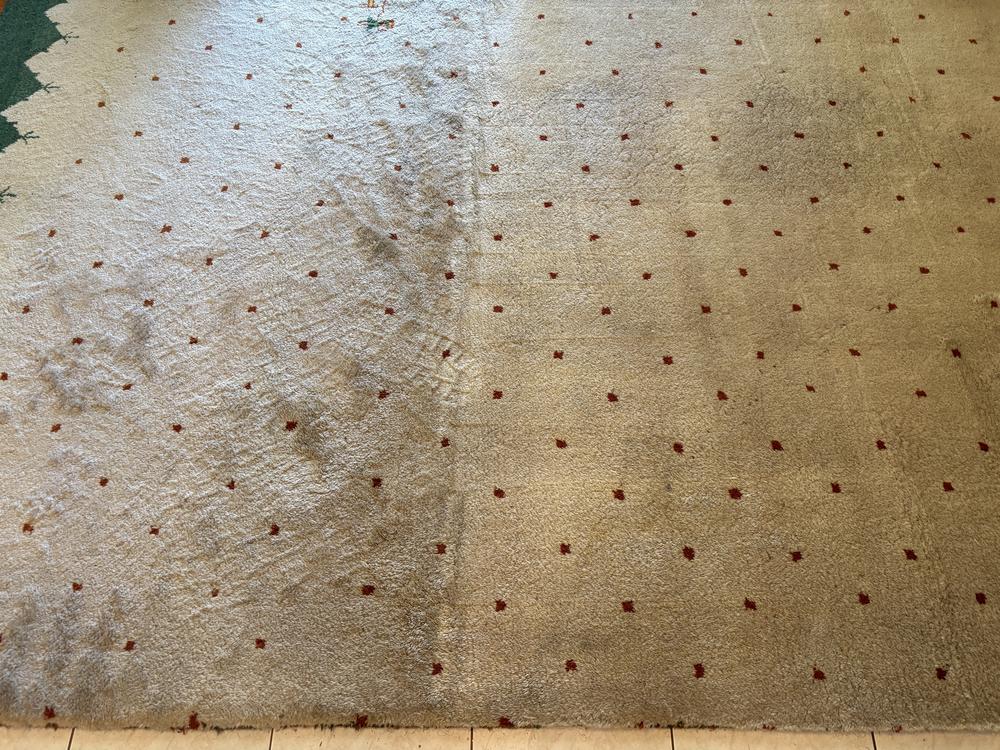 Before photo of wool rug cleaning in Hillarys