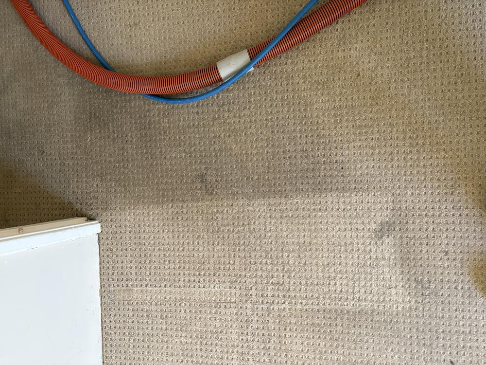Before photo of the carpet cleaning job in Sorrento 