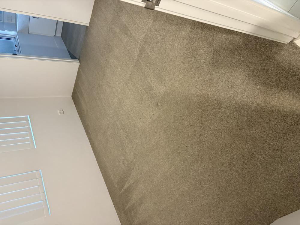 Completed carpet cleaning in Balga 