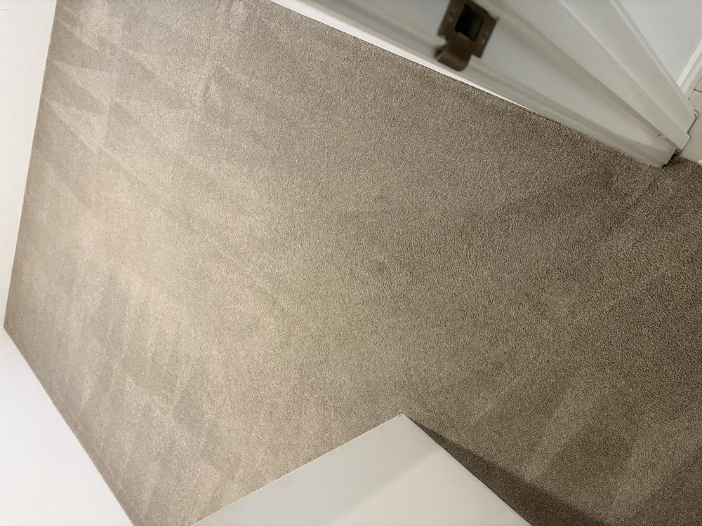 Completed carpet cleaning in Balga 