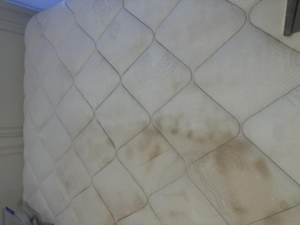Before photo of 2 queen mattress cleaning in Edgewater. 