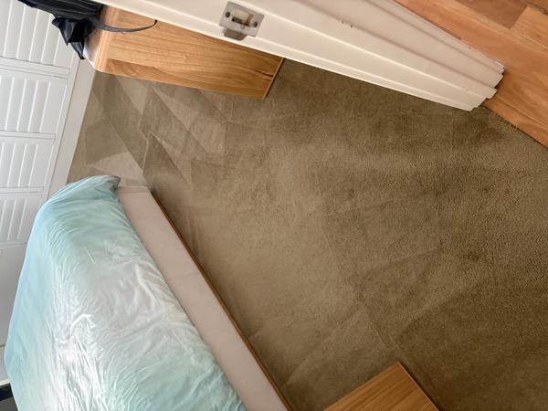 Regular Pet-Related Carpet Clean