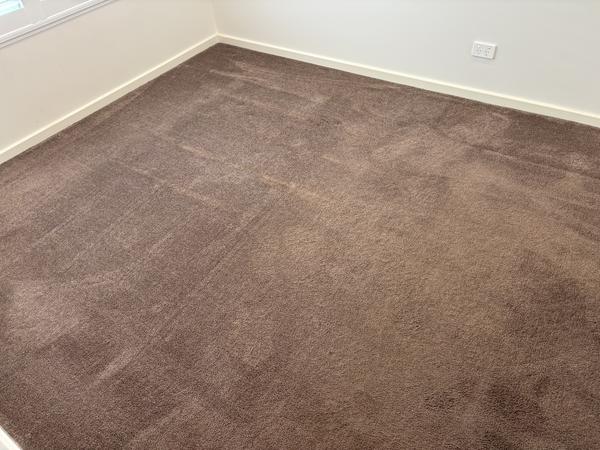 https://carpetcleaninginperthwa.com.au/wp-content/uploads/2026/10/458473433b94-IMG_2993.jpeg