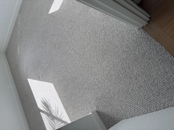 New Home Carpet Clean