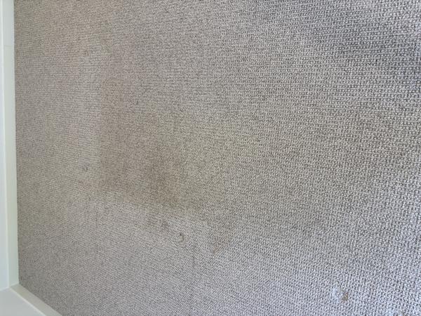 https://carpetcleaninginperthwa.com.au/wp-content/uploads/2026/10/843dd961832e-IMG_2963.jpeg