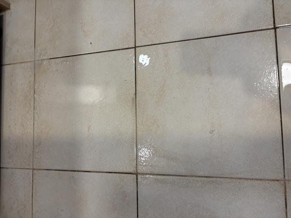 https://carpetcleaninginperthwa.com.au/wp-content/uploads/2026/10/a42de9cb3026-IMG_2831.jpeg