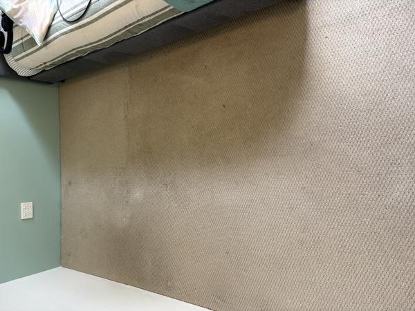 https://carpetcleaninginperthwa.com.au/wp-content/uploads/2026/10/e4502812db44-IMG_2913.jpeg
