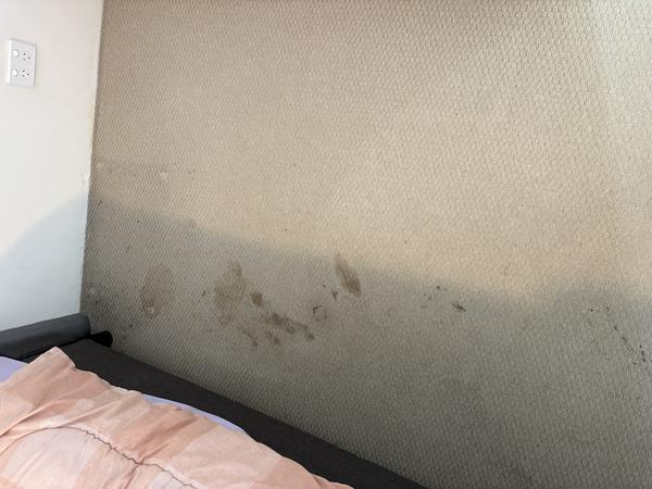 https://carpetcleaninginperthwa.com.au/wp-content/uploads/2026/10/fd07625f1f94-IMG_2914-2.jpeg